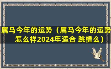 属马今年的运势（属马今年的运势怎么样2024年适合 跳槽么）